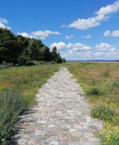 PHOTO 5 -116118280_3670907919590660_7935853351927730856_n